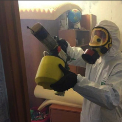 Уничтожение клопов в квартире. Котово